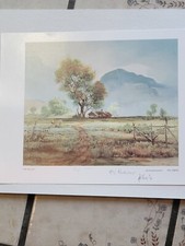Hal empie valley for sale  Tucson