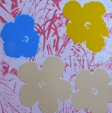 Andy warhol poppy for sale  San Diego