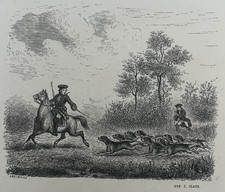Venerie chasse courre d'occasion  Pluvigner
