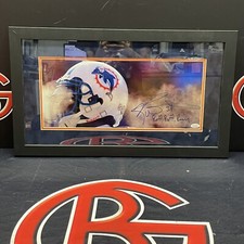 Ricky williams autographed for sale  Lagrangeville