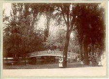 passerelle jardin d'occasion passerelle jardin d'occasion Expédié en Belgium