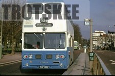 35mm slide brighton for sale  HIGH WYCOMBE