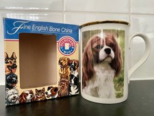 King charles cavalier for sale  UXBRIDGE