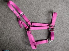 Busse riding head for sale  DRYBROOK