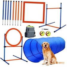 Dog agility training for sale  Miami