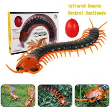 Control Remoto Ciempiés Infrarrojo Animal Juguete Eléctrico Niño Regalo Navidad Verde, segunda mano  Embacar hacia Mexico