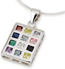 Collana con pettorina usato  Spedire a Italy