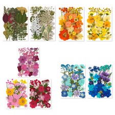 Set fiori secchi usato  Spedire a Italy