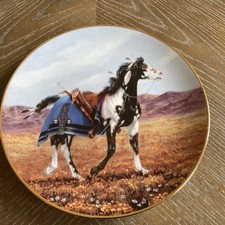 Southern cheyenne chuck for sale  Monticello