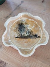 Boscastle pottery 16cm for sale  BIRMINGHAM