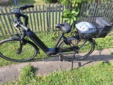 Gazelle arroyo hmb gebraucht kaufen  Braunsbedra