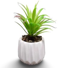 Artificial succulent plant for sale  Huntsville