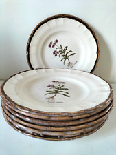 Assiettes botaniques vintage d'occasion  Auxerre
