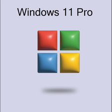 Windows professional lifetime for sale  STAINES-UPON-THAMES