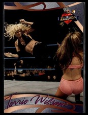 2004 fleer wwe for sale  Watertown