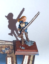 Arquebusier freebooters fate gebraucht kaufen  Cremlingen
