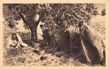 Tunisie sfax ramassage d'occasion  France