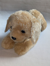 Aurora hund golden gebraucht kaufen  Kiel