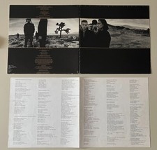 The joshua tree usato  Cigliano