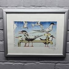 Simon drew tern for sale  LOWESTOFT