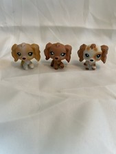 Littest pet shop for sale  Tremont