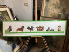 Quadro stampa dachshund usato  Villarbasse