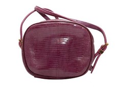 Bolsa tiracolo Magenta & Tan The Row Lizard & Leather mini dupla duas comprar usado  Enviando para Brazil