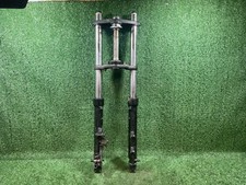 Forcella steli con usato  Napoli
