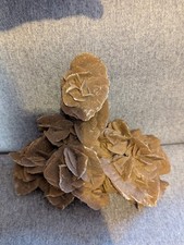 Desert rose desert for sale  NEWARK