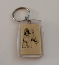 Afghan hound dog for sale  Mesa