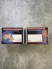 Anatomie lernkarten skelett gebraucht kaufen  Berlin