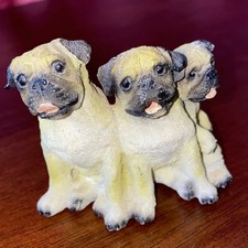 Pug puppies dog for sale  Tuolumne
