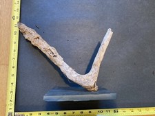 Wysiwyg medium driftwood for sale  Peculiar