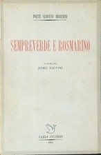 Sempreverde rosmarino salvini usato  Italia