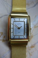 Armbanduhr skagen damen gebraucht kaufen  Rosenheim