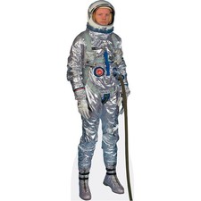 Neil armstrong pappaufsteller gebraucht kaufen  Hannover