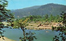 Postcard klamath glen for sale  New Market