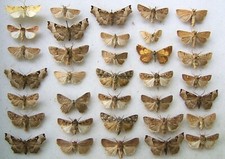 Mixed box british for sale  UK