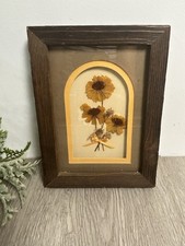 Vintage pressed dried for sale  York