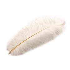 White ostrich plume for sale  Temple