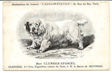 Chien clumber spaniel d'occasion  Expédié en Belgium