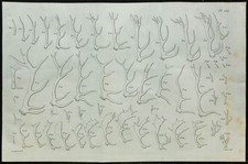 1836 bois cervidés d'occasion  France