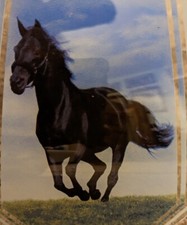 Lâmpada galope garanhão preto cavalo selvagem iluminação OK substituição painel de luz de vidro comprar usado  Enviando para Brazil