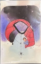 INCRÍVEL HOMEM-ARANHA #1 MOMOKO VIRGIN EXPO VARIANTE 1ª APARIÇÃO HELLGATE, usado comprar usado  Enviando para Brazil