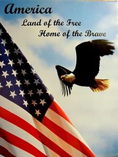 Bald eagle picture for sale  Patterson
