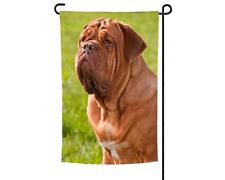 French mastiff garden for sale  Papillion