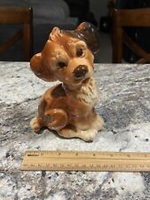 Royal copley puppy for sale  Yankton