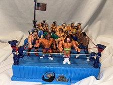 Wwf hasbro blue for sale  Sioux Falls