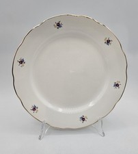 Piatto pagnossin treviso usato Piatto pagnossin treviso usato  Assemini