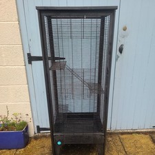 Rat ferret chinchilla for sale  HUDDERSFIELD